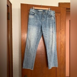 Pilcro and the Letterpress Hyphen Anthropologie Relaxed Straight Leg Jean